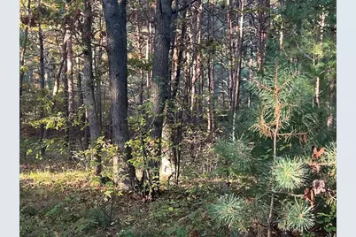 3498 Lindeman Road, Manistee, MI 49660 - Photo 58