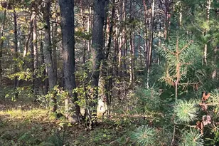 3498 Lindeman Rd, Manistee, MI 49660 - Photo 58