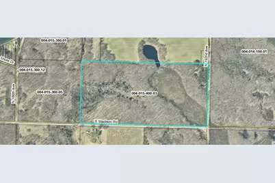 E Madison Road, Walkerville, MI 49459 - Photo 2