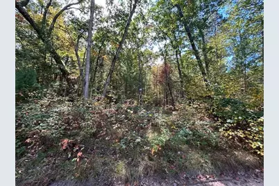 V/L W Meinert Road, Montague, MI 49437 - Photo 2