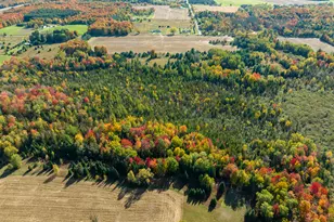 7200 E 46 Rd, Cadillac, MI 49601 - Photo 6