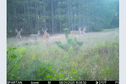 7200 E 46 Road, Cadillac, MI 49601 - Photo 10