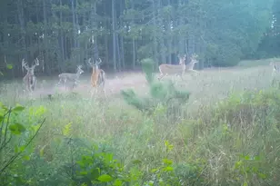 7200 E 46 Rd, Cadillac, MI 49601 - Photo 10