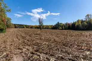 7200 E 46 Rd, Cadillac, MI 49601 - Photo 54