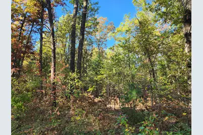 259 S Baker Road, Wellston, MI 49689 - Photo 12