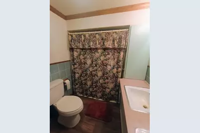 14985 157th Avenue, Big Rapids, MI 49307 - Photo 32