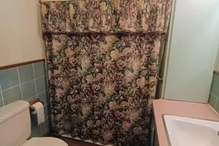 14985 157th Ave, Big Rapids, MI 49307 - Photo 32