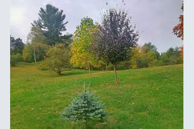 14985 157th Avenue, Big Rapids, MI 49307 - Photo 8