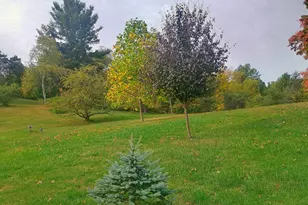 14985 157th Ave, Big Rapids, MI 49307 - Photo 8