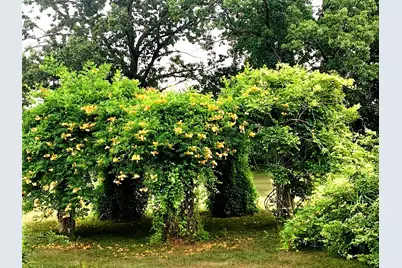 14359 S Dixie Highway, Monroe, MI 48161 - Photo 46