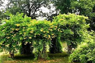 14359 S Dixie Hwy, Monroe, MI 48161 - Photo 46