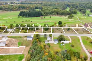 2160 W Ellis Parcel 2, Belding, MI 48809 - Photo 1