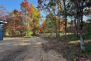 6710 W Dana's Circle, Baldwin, MI 49304 - Photo 8