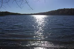 1246 Vincent Lake Ln, Tekonsha, MI 49092 - Photo 74