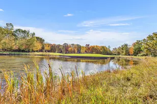 6161 Fox Run Cir, Canadian Lakes, MI 49346 - Photo 28