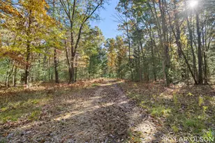 10711 N Tuttle Rd, Free Soil, MI 49411 - Photo 44