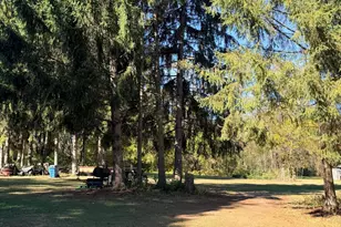 1460 Munith Rd, Jackson, MI 49201 - Photo 38