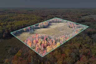 N Centerline Rd, White Cloud, MI 49349 - Photo 1