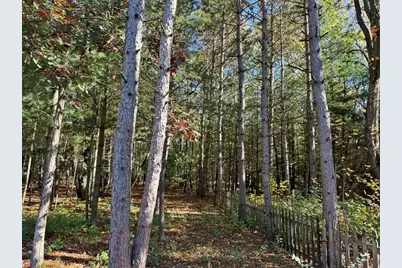 9198 Forest Pines Drive, Mecosta, MI 49332 - Photo 26