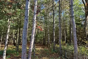 9198 Forest Pines Drive, Mecosta, MI 49332 - Photo 26