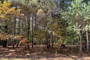 9198 Forest Pines Drive, Mecosta, MI 49332 - Photo 22