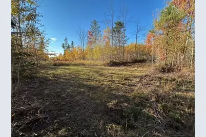 V/L 9 Mile Road, Reed City, MI 49677 - Photo 12