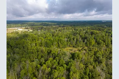 V/L 9 Mile Road, Reed City, MI 49677 - Photo 44