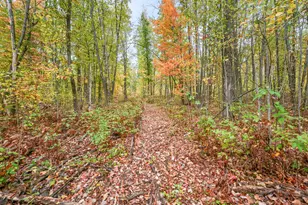 13540 8 Mile Rd, Evart, MI 49631 - Photo 1