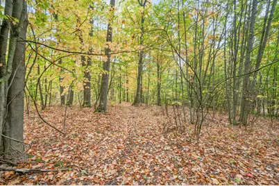 13540 8 Mile Rd, Evart, MI 49631 - Photo 14