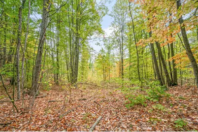 13540 8 Mile Rd, Evart, MI 49631 - Photo 10