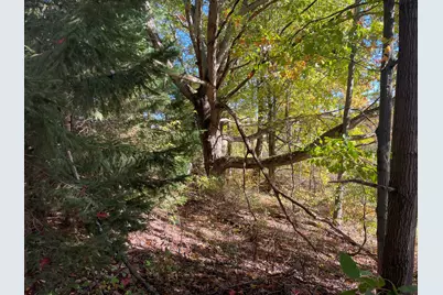 1945 S 200th Avenue, Hesperia, MI 49421 - Photo 12