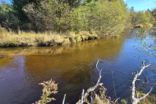 10652 N River Rd, Irons, MI 49644 - Photo 10