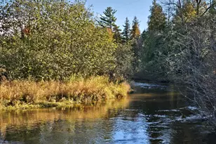 10652 N River Rd, Irons, MI 49644 - Photo 6