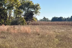 5656 Monroe Rd, Lakeview, MI 48850 - Photo 40