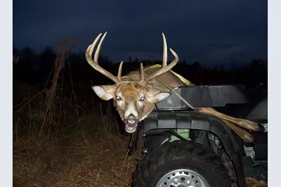 5656 Monroe Road, Lakeview, MI 48850 - Photo 56