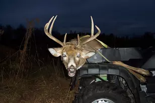 5656 Monroe Rd, Lakeview, MI 48850 - Photo 56