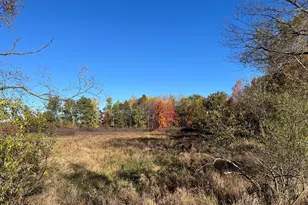 5656 Monroe Rd, Lakeview, MI 48850 - Photo 36