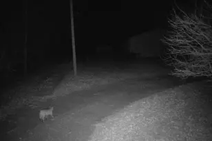 5490 S Harrison Rd, Houghton Lake, MI 48629 - Photo 132