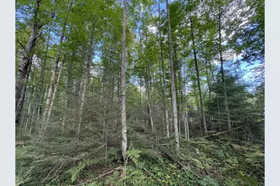 5490 S Harrison Road, Houghton Lake, MI 48629 - Photo 82