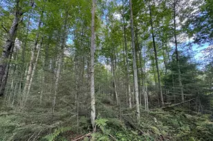 5490 S Harrison Rd, Houghton Lake, MI 48629 - Photo 82