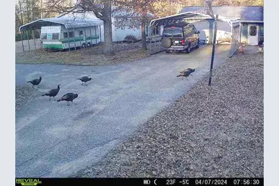 5490 S Harrison Road, Houghton Lake, MI 48629 - Photo 130