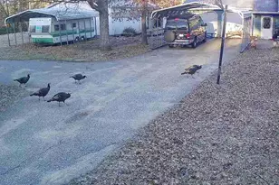 5490 S Harrison Rd, Houghton Lake, MI 48629 - Photo 130