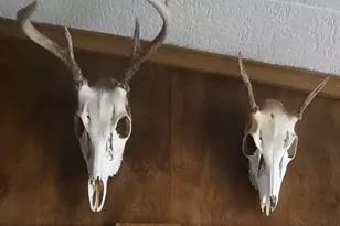 5490 S Harrison Rd, Houghton Lake, MI 48629 - Photo 136