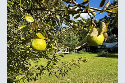 5490 S Harrison Road, Houghton Lake, MI 48629 - Photo 58