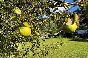 5490 S Harrison Rd, Houghton Lake, MI 48629 - Photo 58