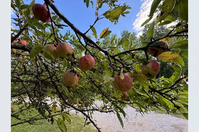 5490 S Harrison Road, Houghton Lake, MI 48629 - Photo 94