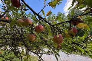 5490 S Harrison Rd, Houghton Lake, MI 48629 - Photo 94