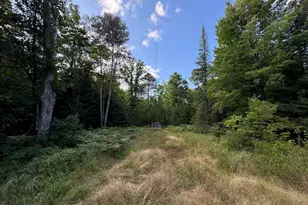 5490 S Harrison Rd, Houghton Lake, MI 48629 - Photo 78