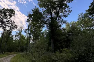 5490 S Harrison Rd, Houghton Lake, MI 48629 - Photo 86