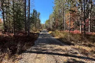 5490 S Harrison Rd, Houghton Lake, MI 48629 - Photo 98